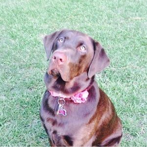 Meet your Posher, Amy